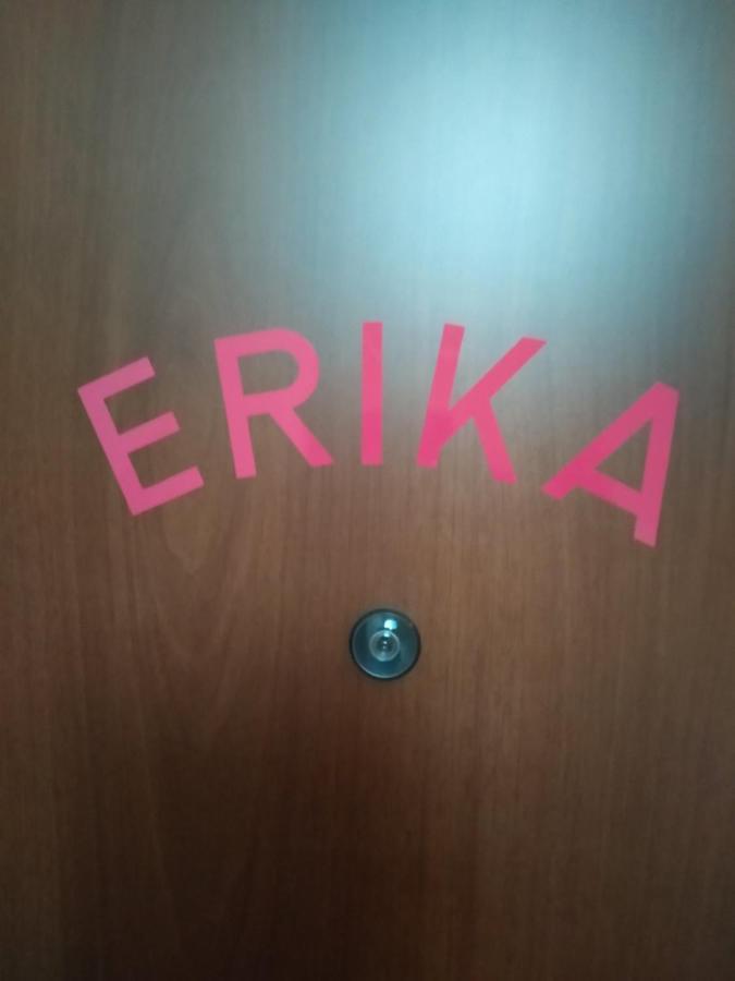 Studio Apartman Erika Ližnjan 外观 照片