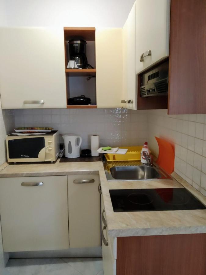 Studio Apartman Erika Ližnjan 外观 照片
